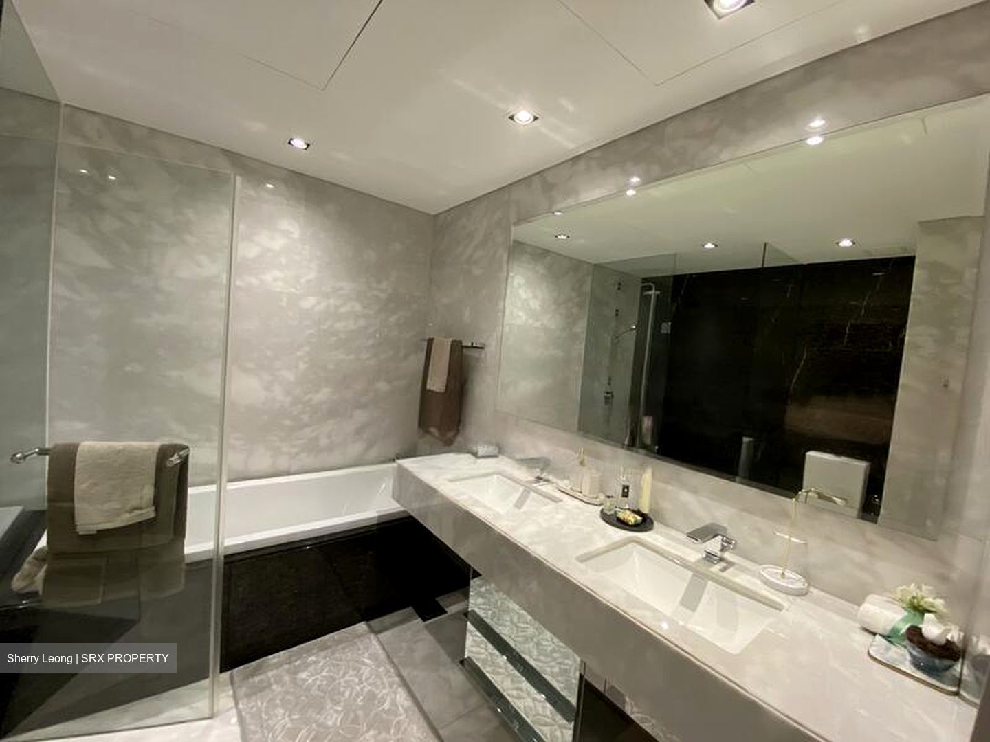 St. Regis Residences (D10), Apartment #480627241